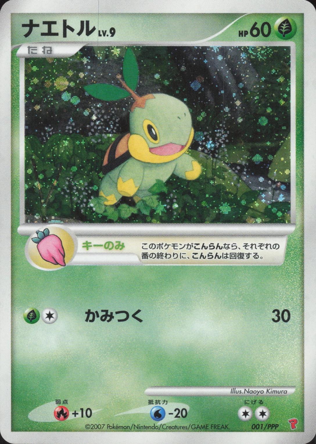 Turtwig